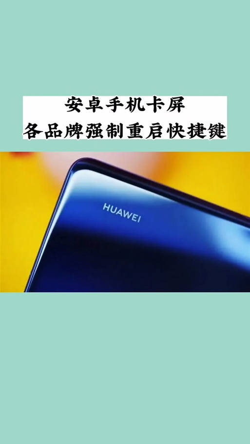 黑域解除安卓12限制下载截图1