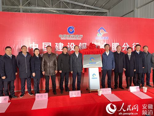 王文兵建行截图2