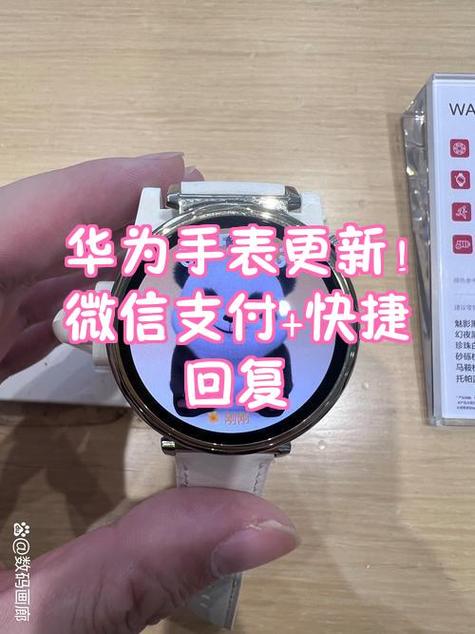 手表支付不了怎么回事截图2