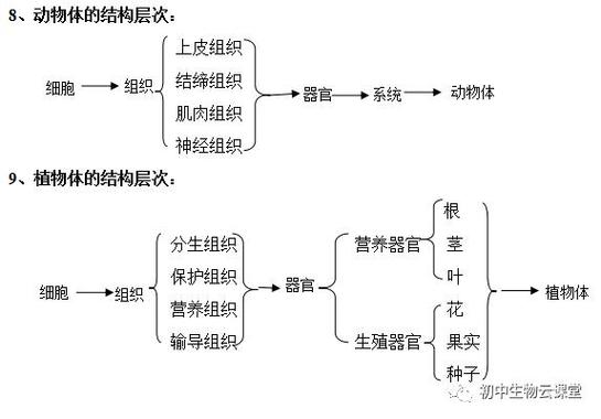 七年级上册生物思维导图北师大版
