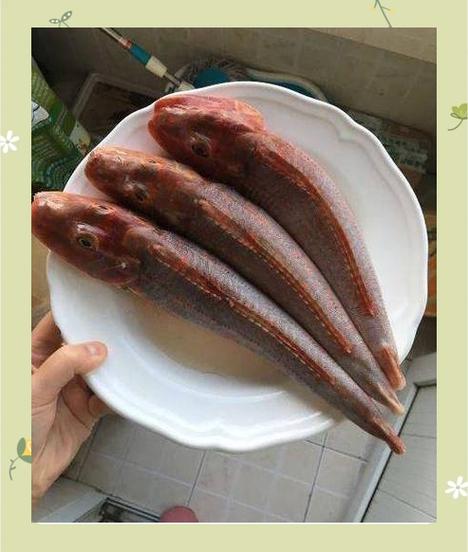 食材_红头鱼窍门