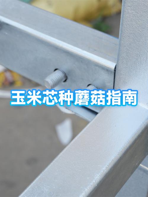 如何在家种蘑菇