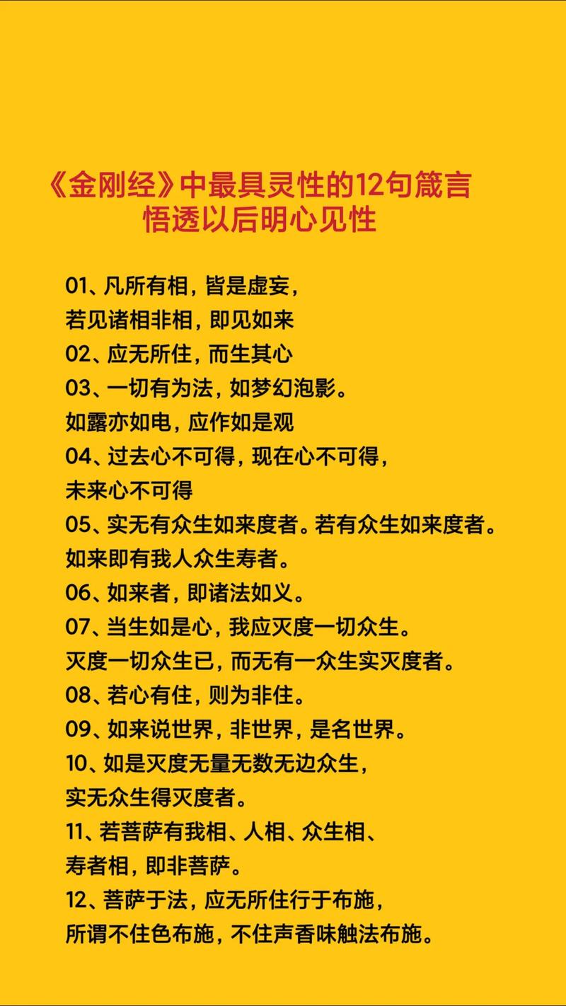大千世界的主要内容