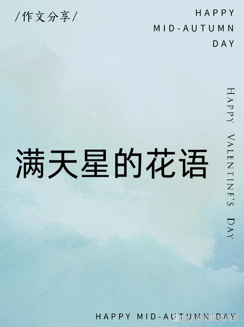 满天星的爱和赞美之情