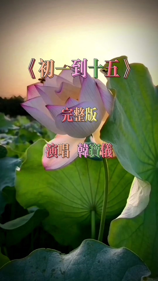 搜谱网 歌曲简谱