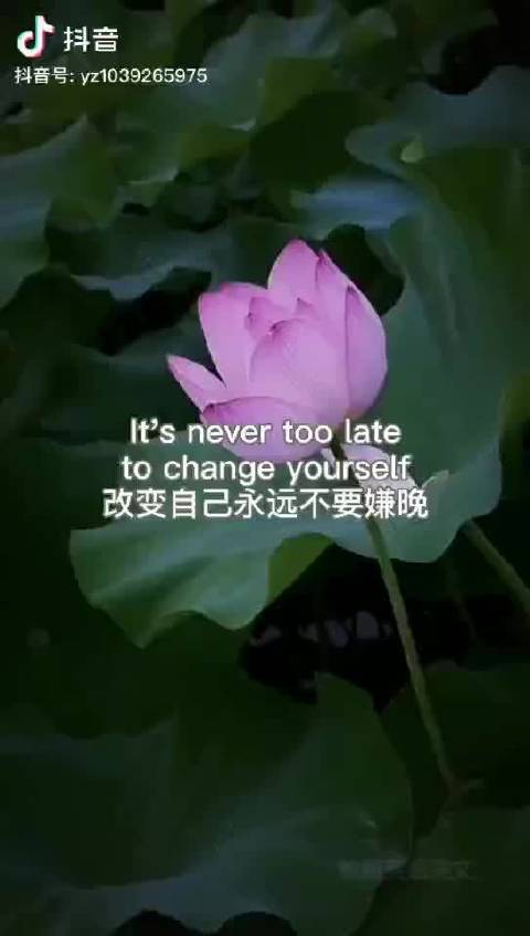 2010手机桌面旧版本大全