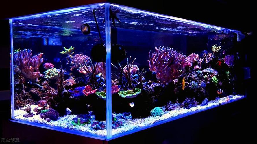 海水鱼缸截图2