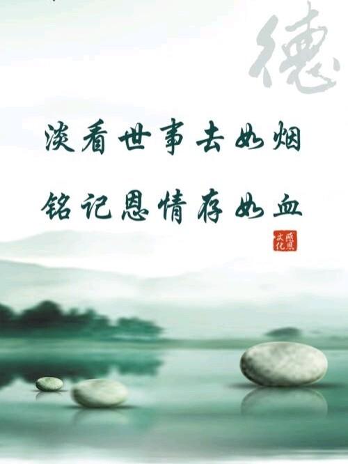 不负恩情1-40集全免费