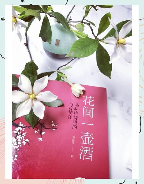 绕指柔by花间一壶酒免费阅读小说