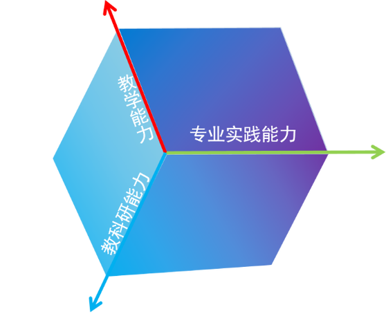 教师业务能力方面