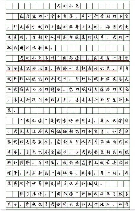小白兔600字优秀作文免费可抄