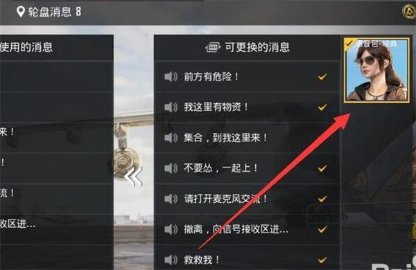 和平精英怎么改语音