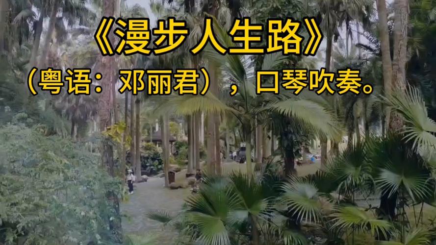 粤语《漫漫人生路》