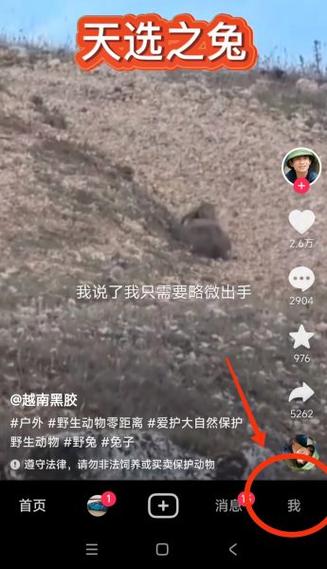 抖音推荐如何变成初始状态