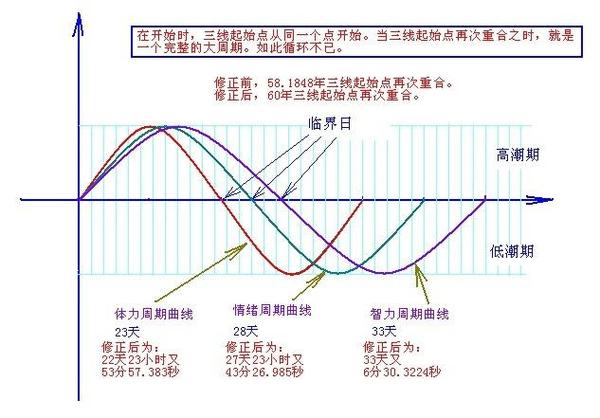 人体生理周期三节律曲线图