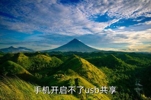 手机开启不了usb共享网络