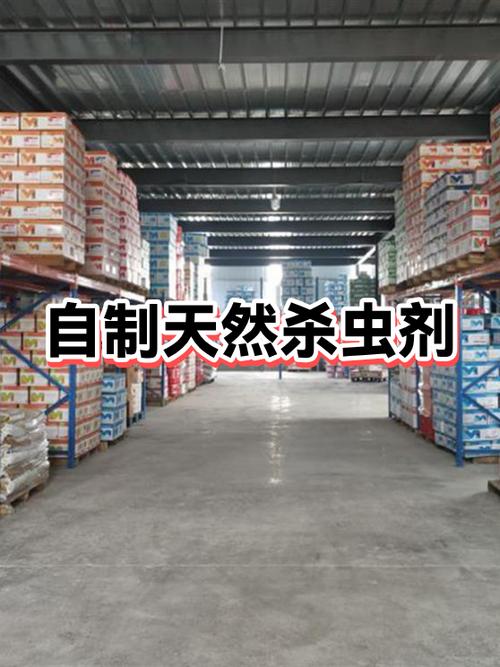 自制杀蜘蛛药