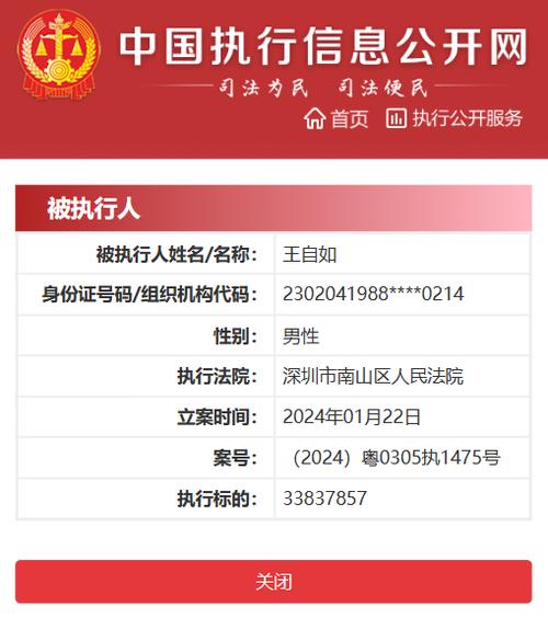 全国被执行人信息查询网