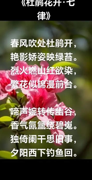 描写花的现代诗歌 描写花的现代诗歌