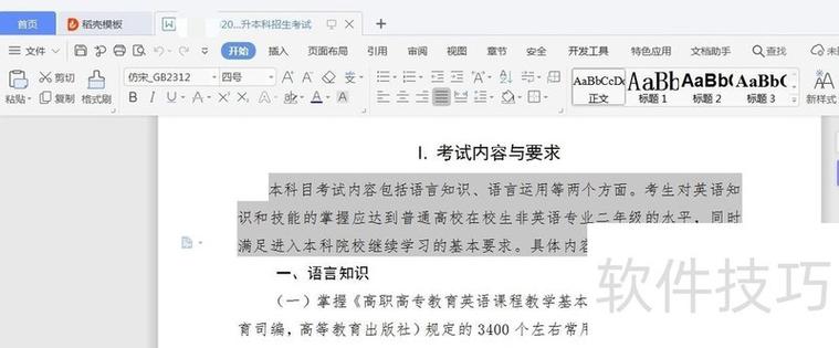 wps职业技能考试时间