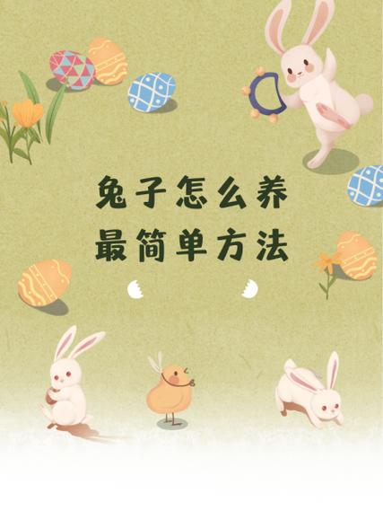 兔子要怎么养 兔子要怎么养