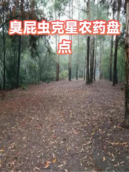 除臭屁虫的克星第一名