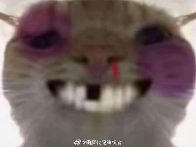 猫meme鼻青脸肿龇牙笑表情包