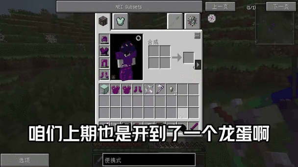 我的世界飞龙套怎么做的