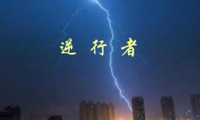 手机更新后还能恢复到上个版本吗