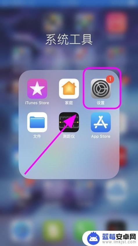 苹果手机屏幕不受控制怎么办截图2