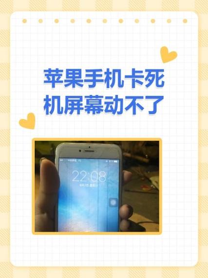 苹果手机屏幕不受控制怎么办截图3