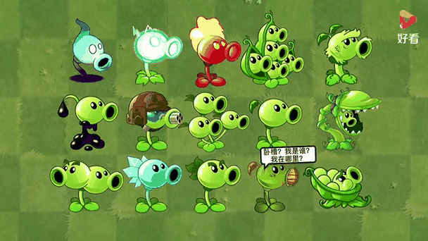 pvz全部版本合集