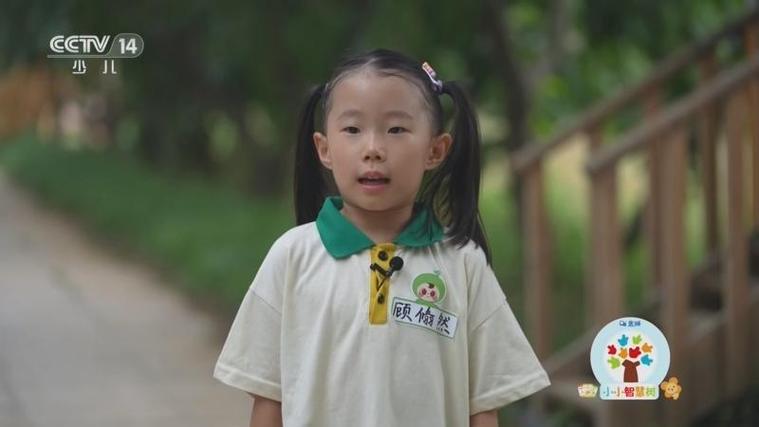 小小智慧树西瓜桔子孟子云