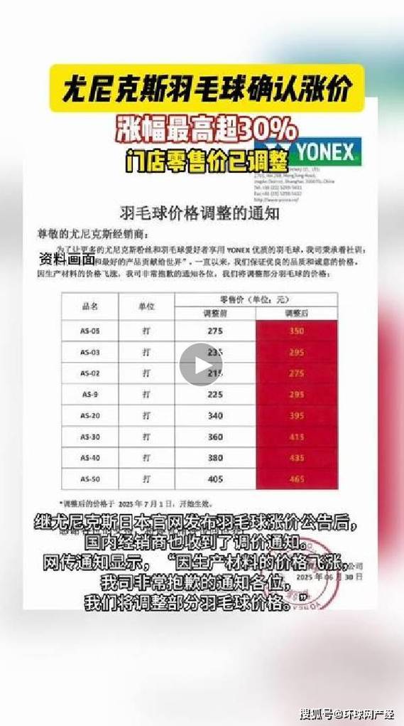 羽毛球价格排行榜截图2