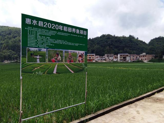 惠水养鱼场截图1