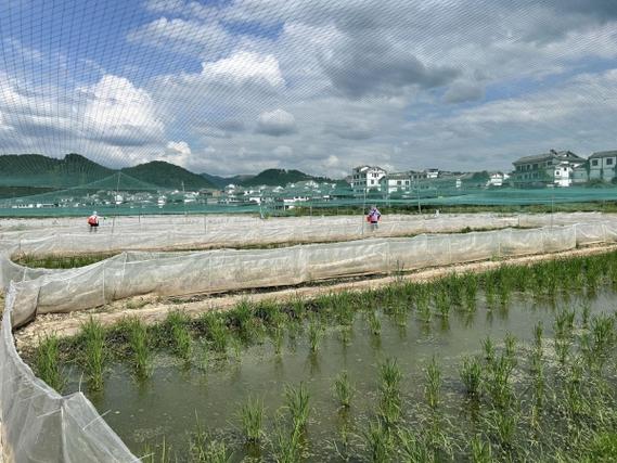 惠水养鱼场截图2