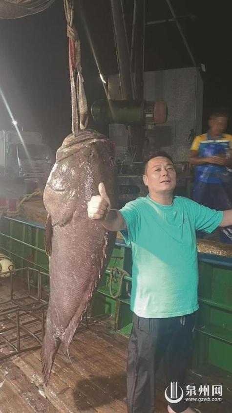 大海里的鱼会被捞完吗