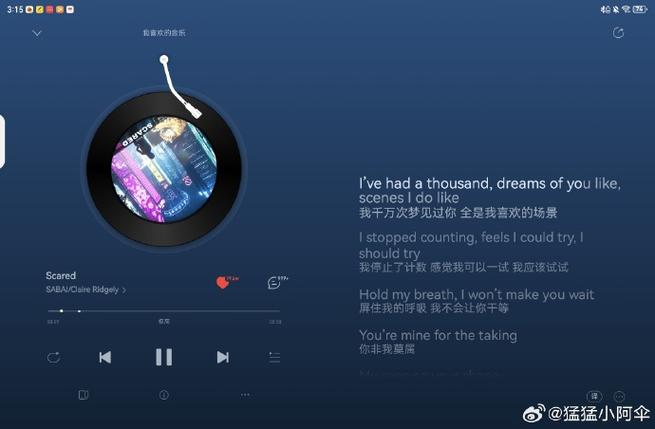 ipad听音乐截图3