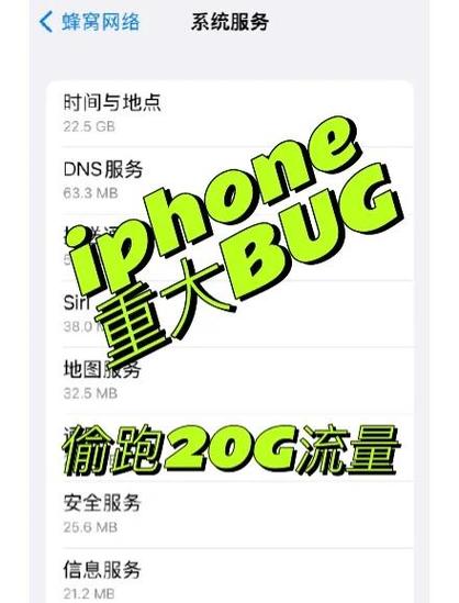 手机查看流量使用情况截图3