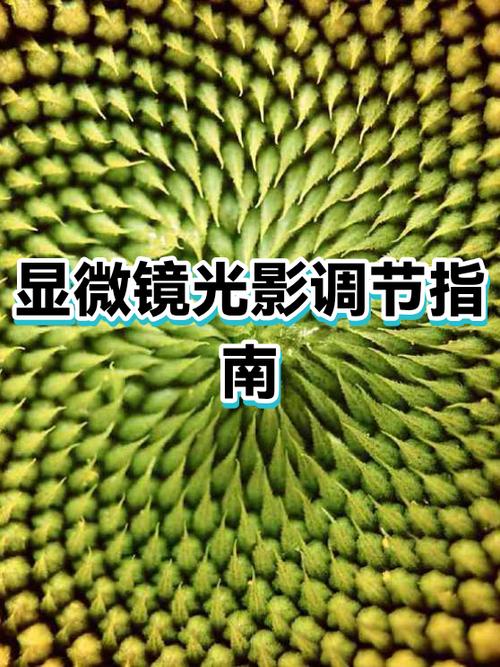 降低手机屏幕亮度软件