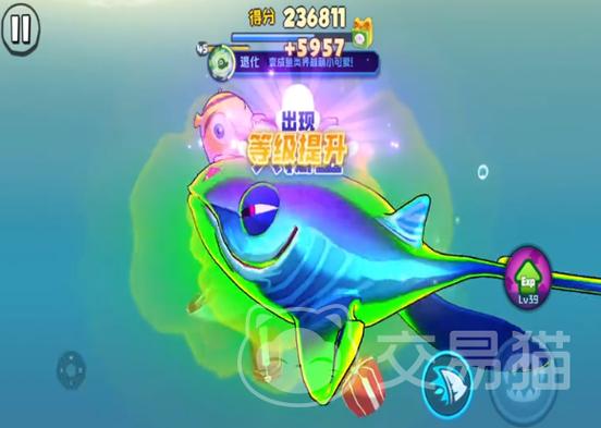 鱼吃鱼第五海域蓝鲸怎么获得