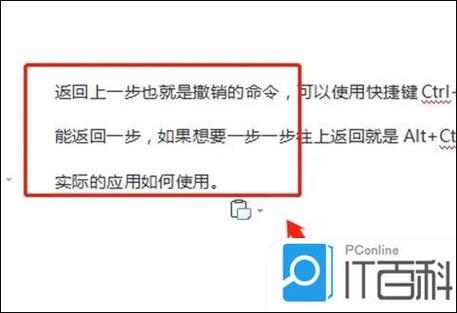 ipad返回上一级的作用