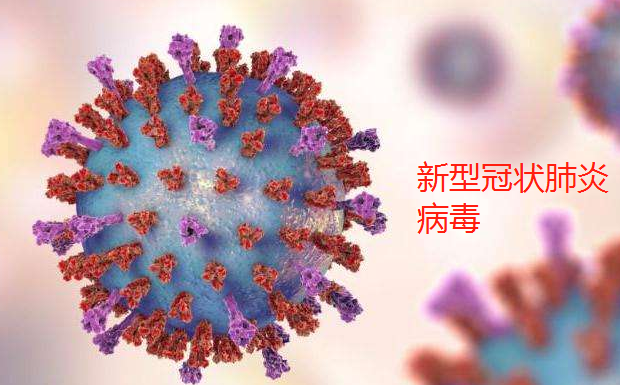 新型冠状病毒