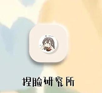 捏脸研究所的安装方式