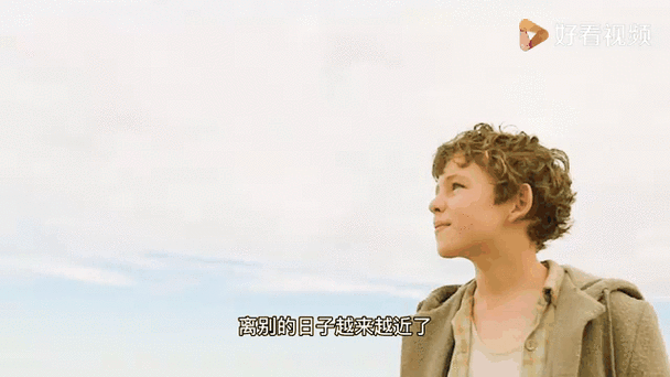男孩与鹈鹕电影网盘截图2