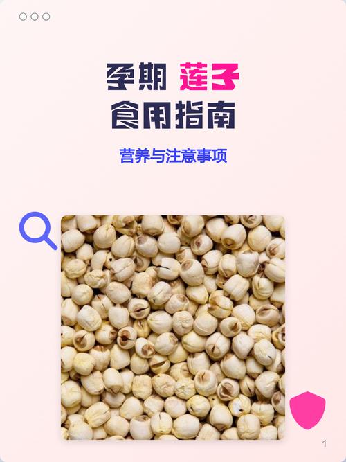 孕妇能吃莲子吗 孕妇能吃莲子吗