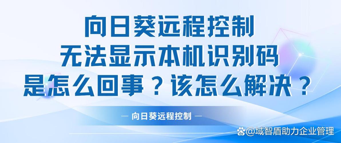 向日葵不显示本机识别码怎么办