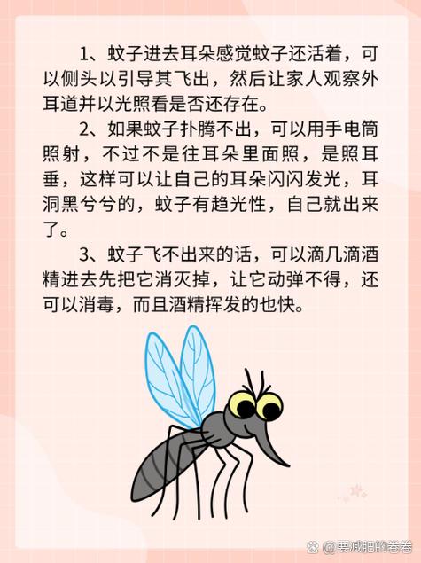 一个活蚊子进耳朵里了咋办