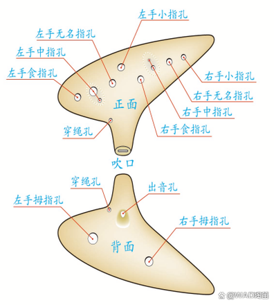 陶笛入门教学视频12孔
