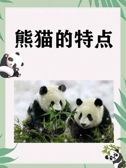 熊猫市场和耳朵影视哪个好